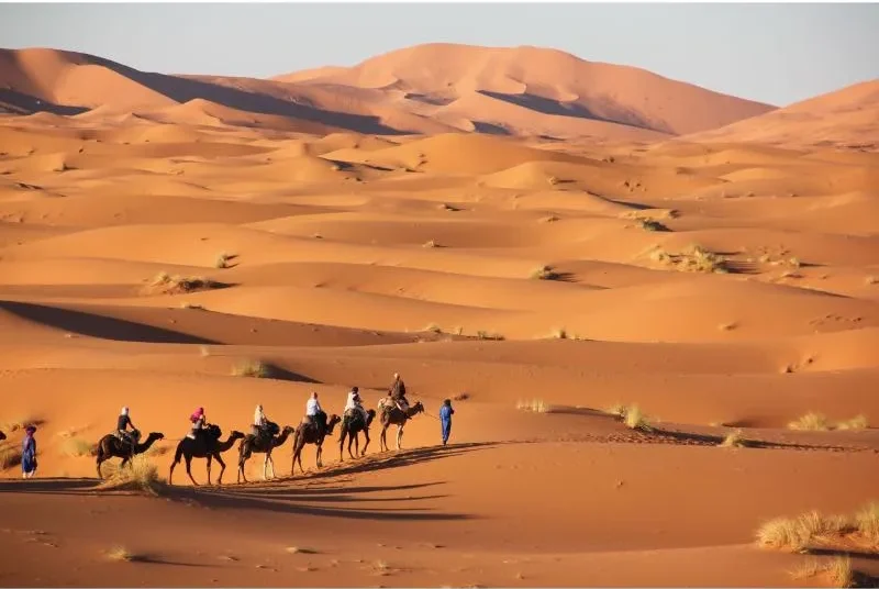 Morocco Desert Tours