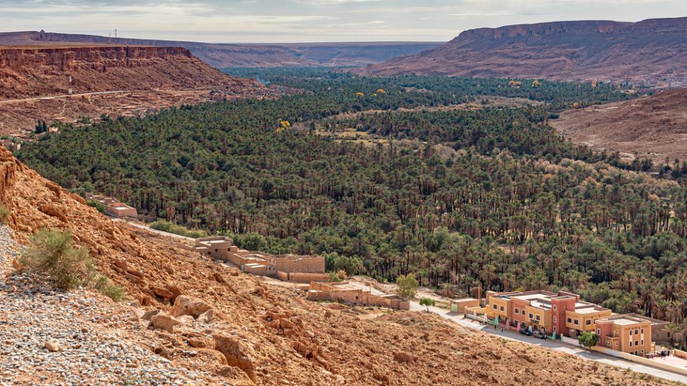 Berber village along the Ziz Valley during Fes to Marrakech desert tour