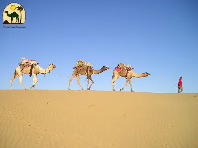 Camel caravan in Erg Chebbi dunes during 13 days Morocco tour