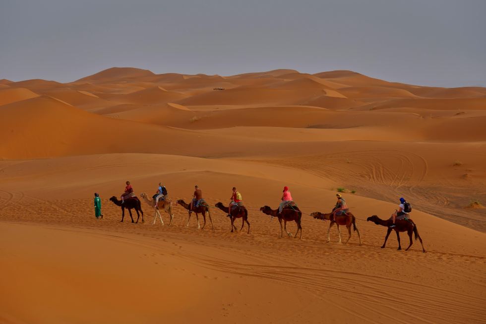 Camel ride across Erg Chebbi dunes at sunset on Marrakech to Fes desert tour