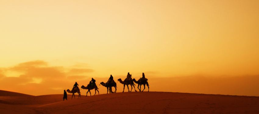 camel trek in 3 days desert tour from fes to Marrakech