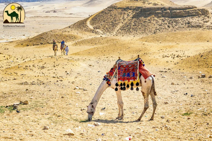 Camel ride at sunset in Agafay Desert 5 days Morocco tour