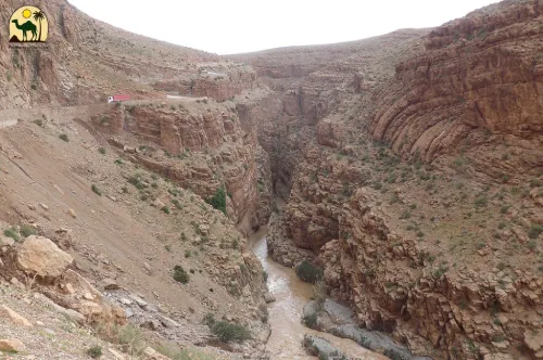 Todra Gorge cliffs – natural wonder on Morocco two week itinerary