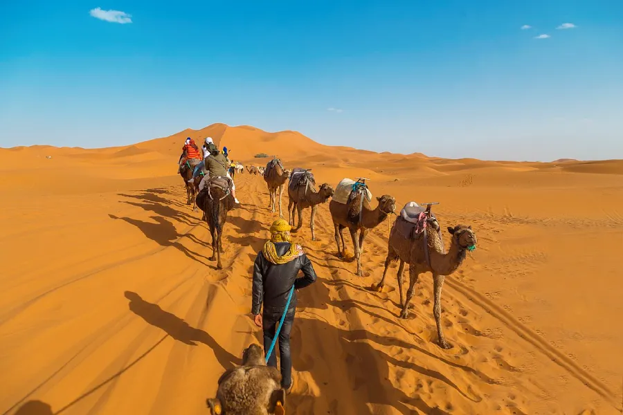Camel caravan in Erg Chebbi dunes, Sahara desert overnight camp experience