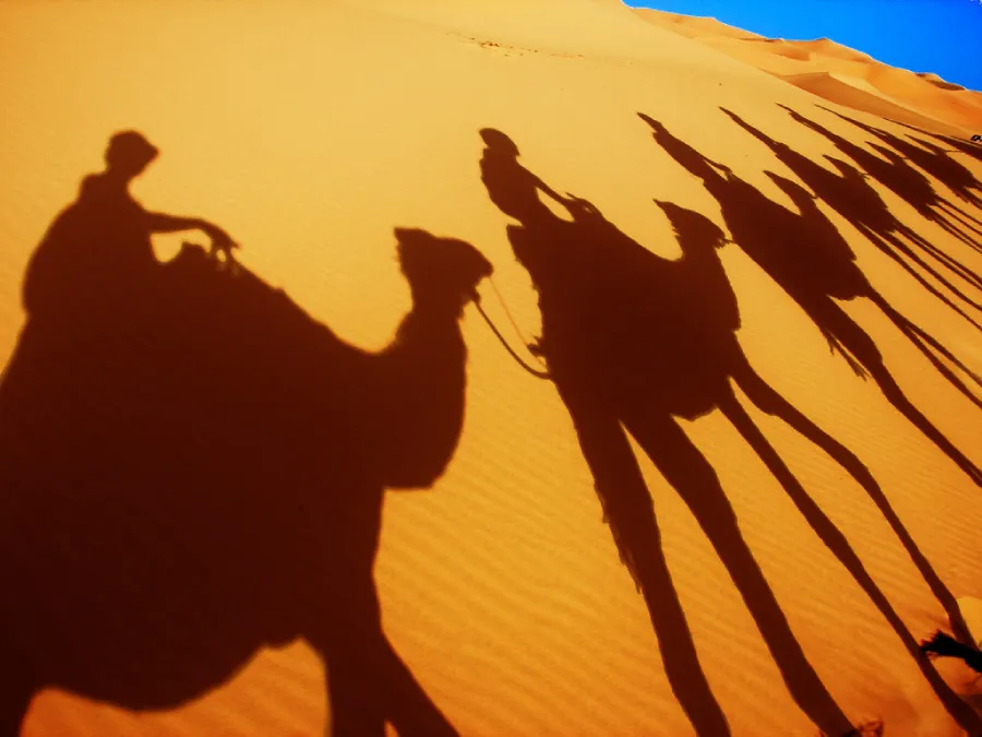 Camel caravan in Erg Chebbi dunes during 8 days desert tour from Casablanca
