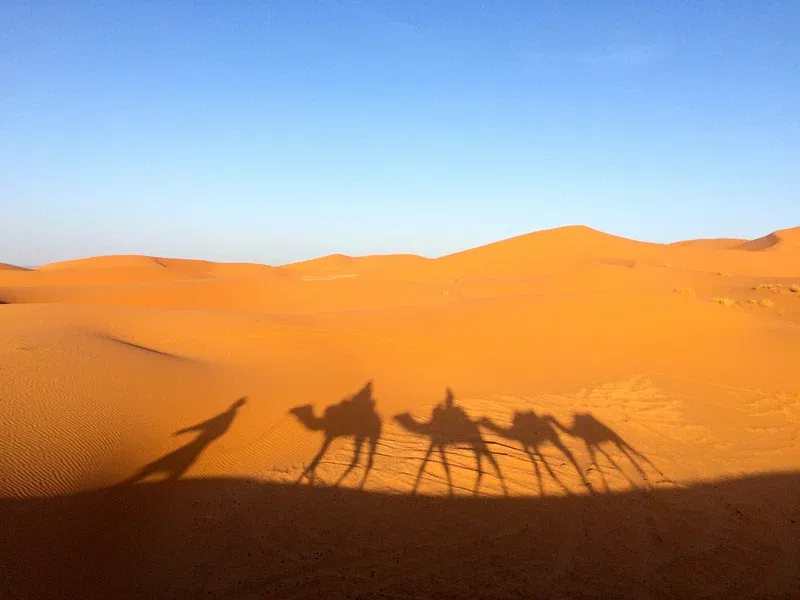 Erg Chebbi Sahara Desert sunset camel ride