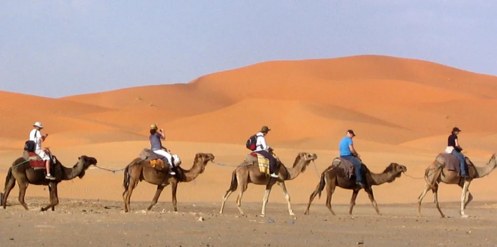 camel rite 4 Days Fes to Marrakech Desert Tour