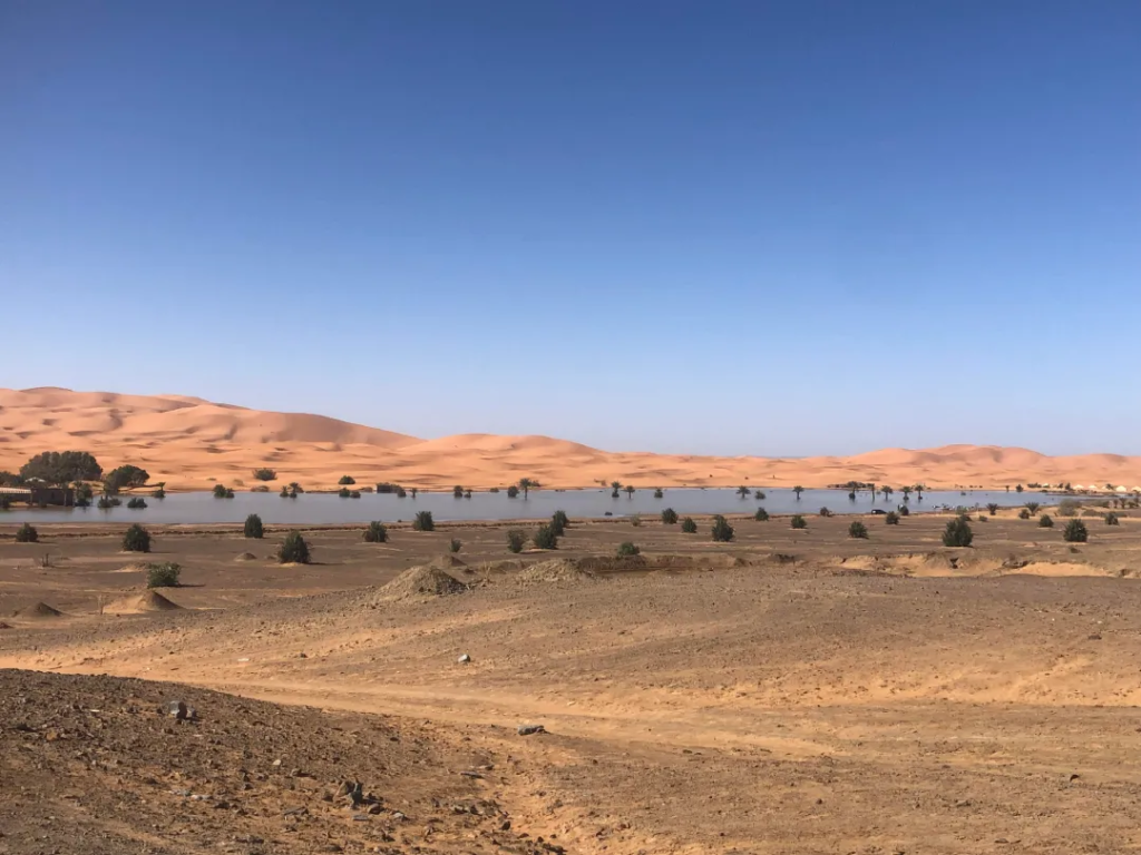 sahara desert Morocco tour packages