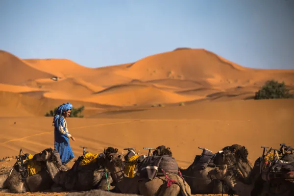 camel ride in erg chebbi desert during 4 days desert tour