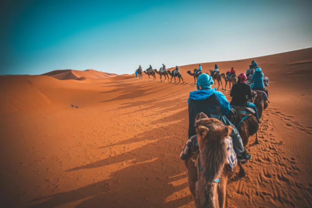 Camel trekking in Erg Chebbi desert during a 5 days Morocco itinerary