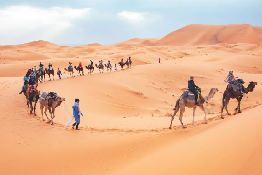 Camel trek in Merzouga Desert dunes
